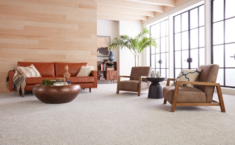carpet in spacious living room